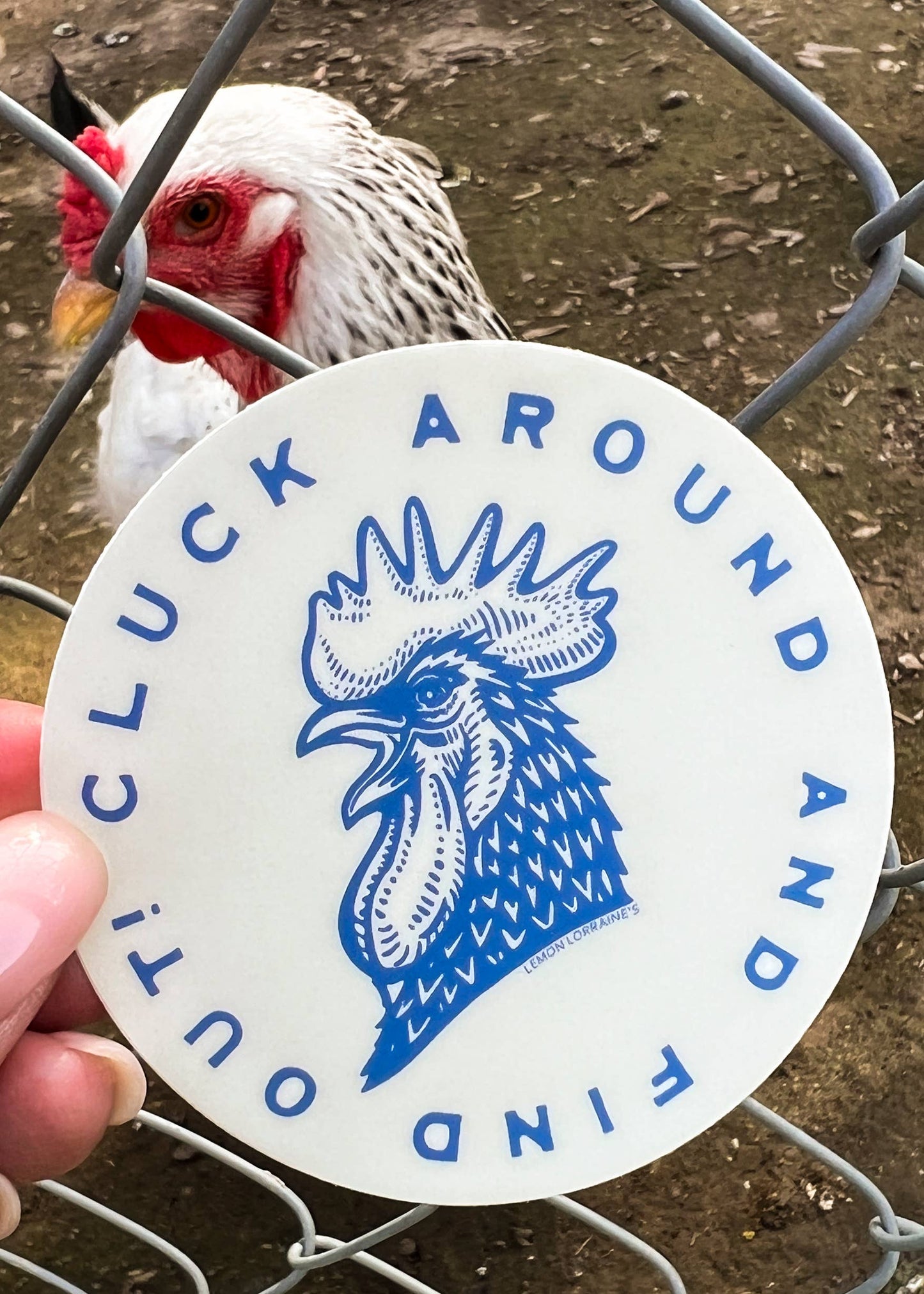 Cluck Around & Find Out Sticker