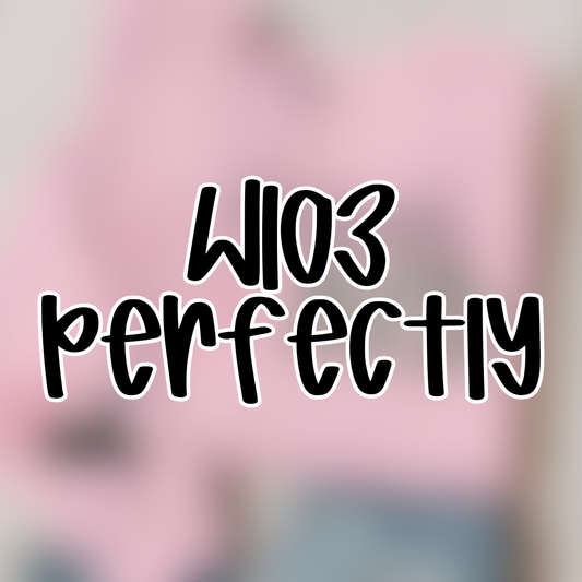 W103 - Youth + Adult Sweatshirts