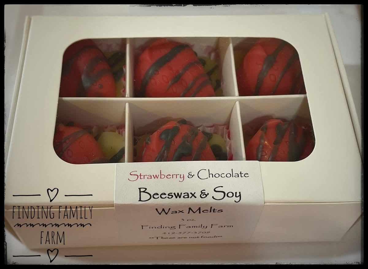 Choc Covered Strawberry Wax Melts