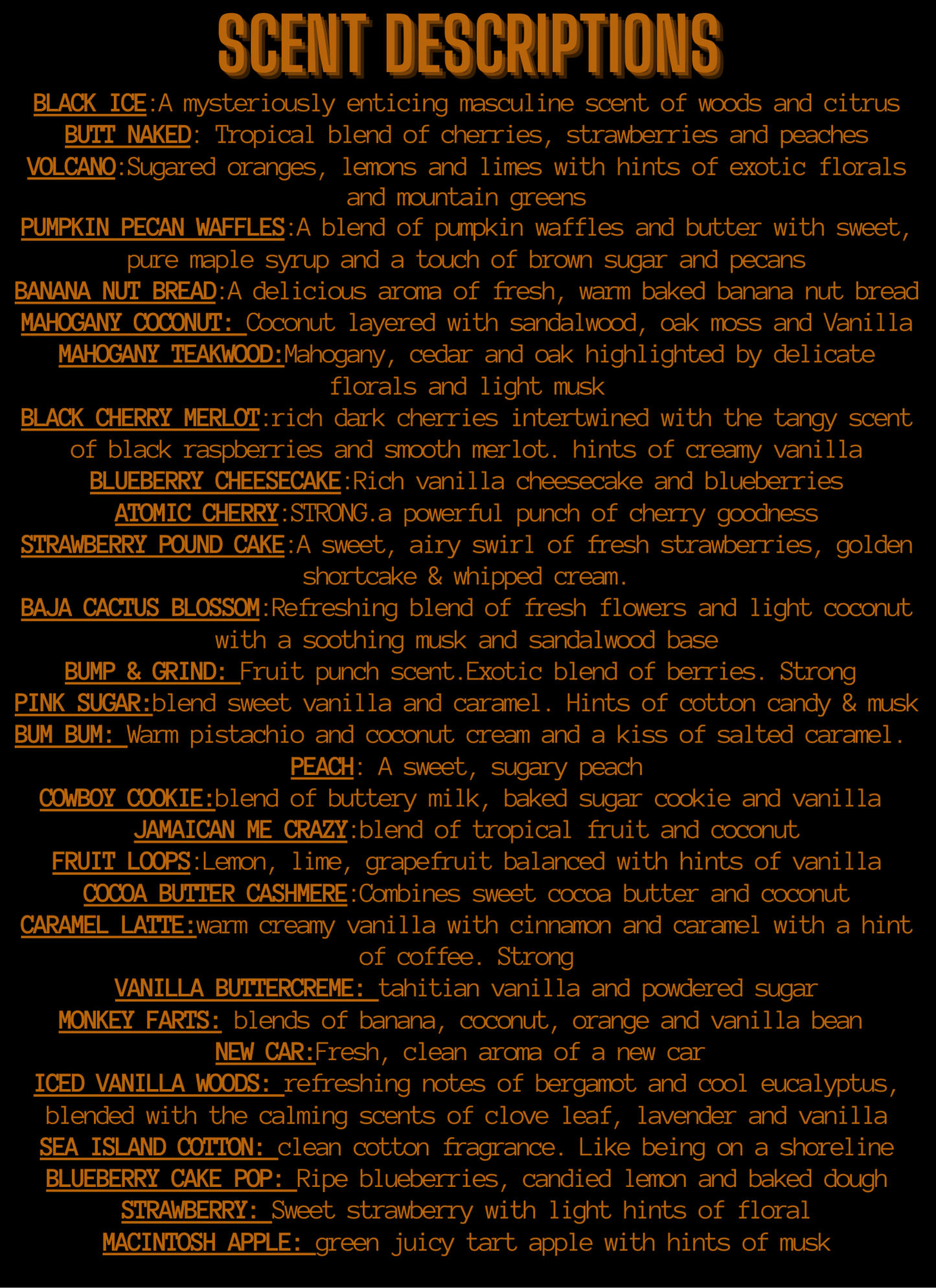 Horseshoe Desert Scene Car Freshie: Brown / Baja Cactus Blossom